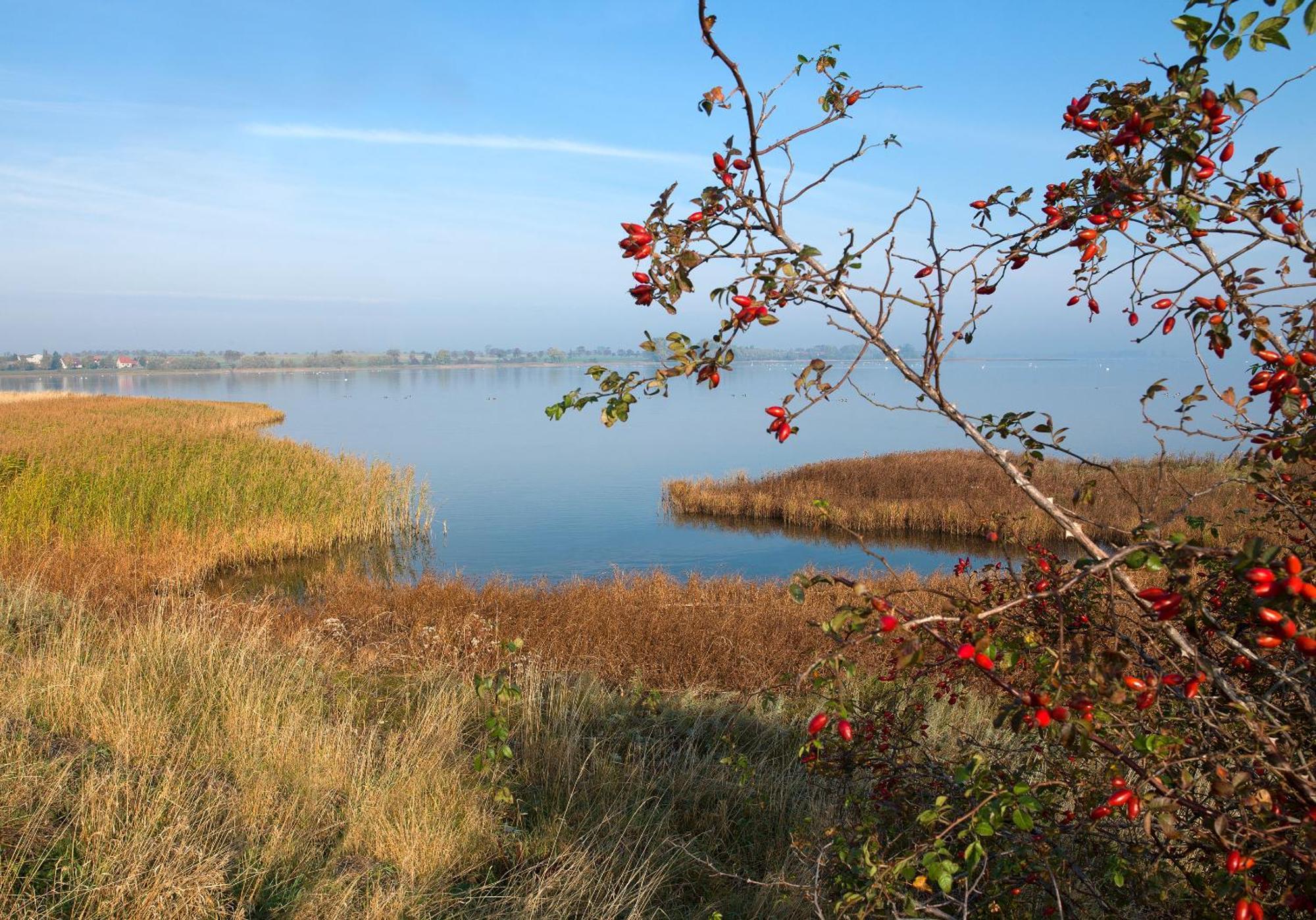 Ferienwohnungen Am Lotsenstieg Abendrot Poel Extérieur photo