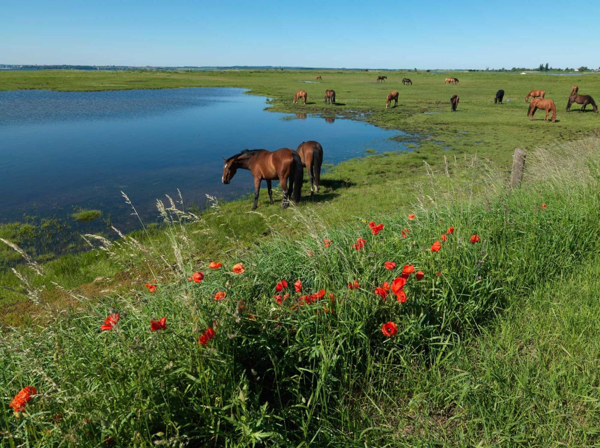 Ferienwohnungen Am Lotsenstieg Abendrot Poel Extérieur photo